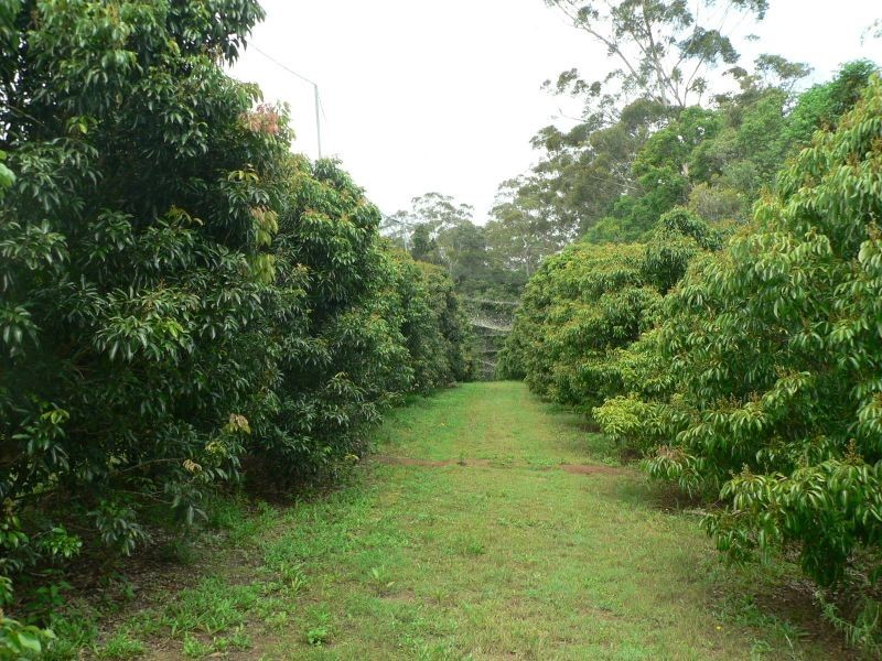 53 Atkinsons Rd, Woombye QLD 4559