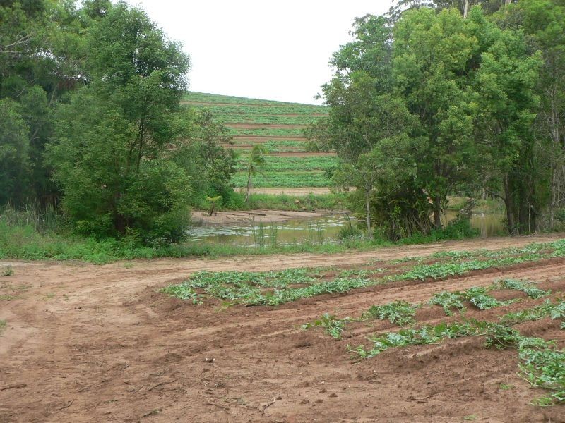 53 Atkinsons Rd, Woombye QLD 4559