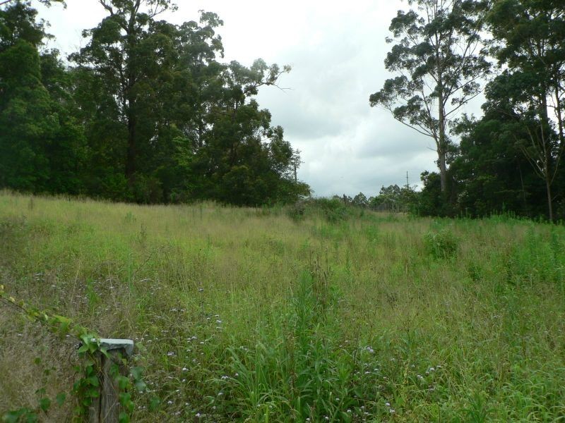 53 Atkinsons Rd, Woombye QLD 4559