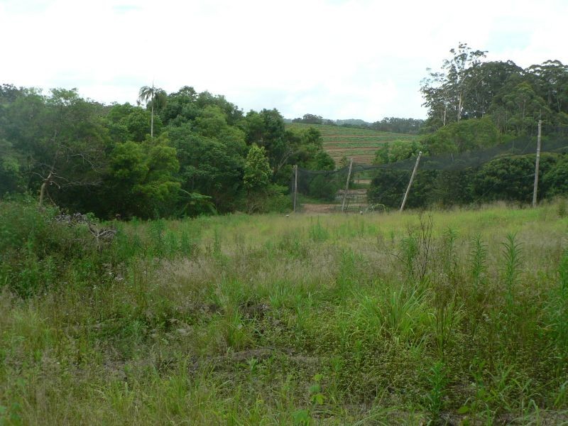 53 Atkinsons Rd, Woombye QLD 4559