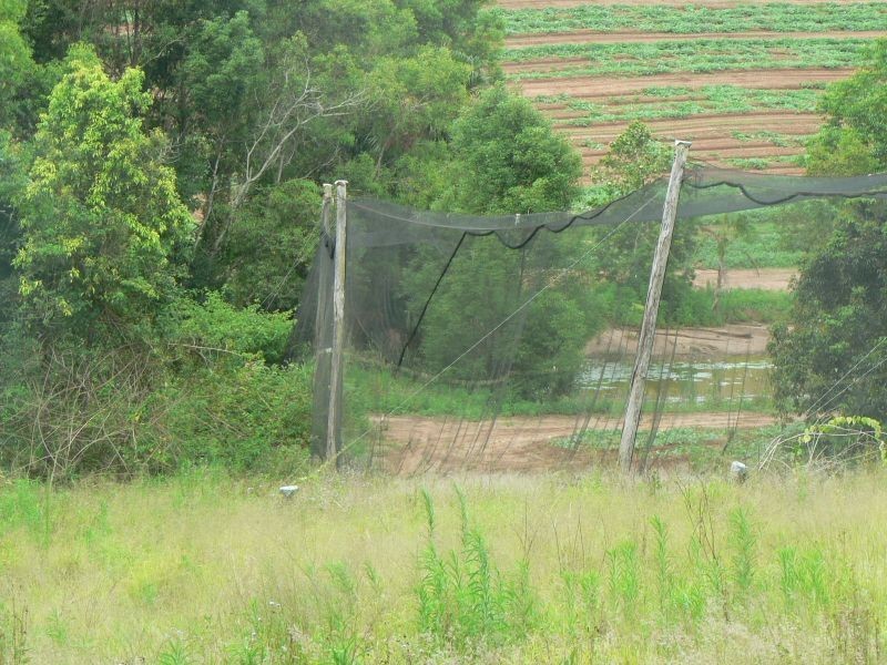 53 Atkinsons Rd, Woombye QLD 4559