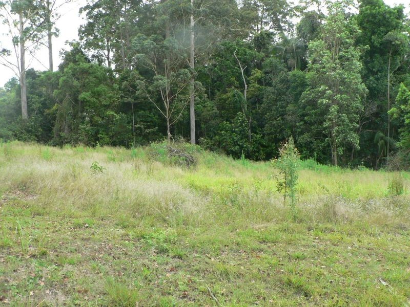 53 Atkinsons Rd, Woombye QLD 4559