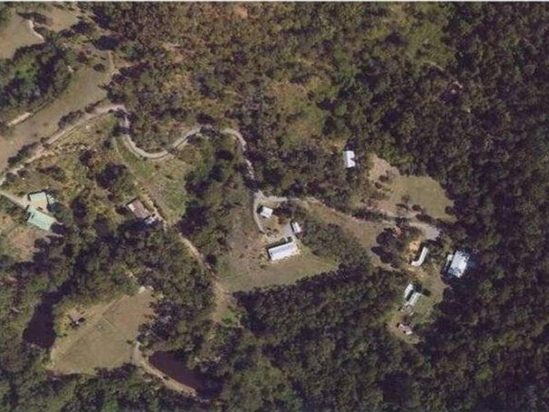 96 Isambert Road, Glenview QLD 4553