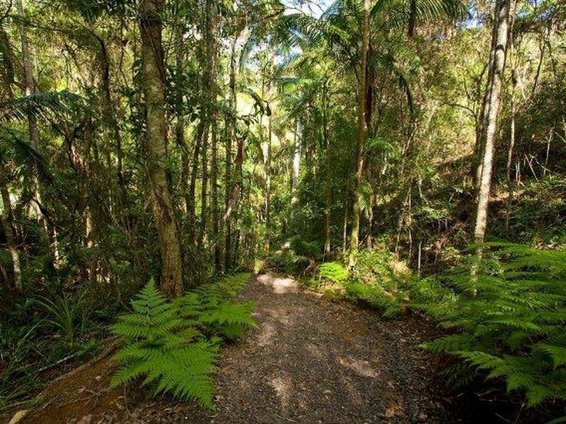63-67 Glenmount Rd, Buderim QLD 4556
