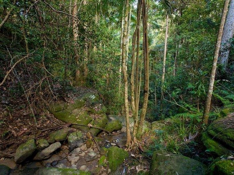 63-67 Glenmount Rd, Buderim QLD 4556