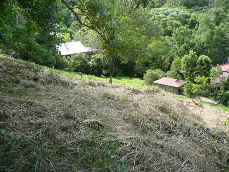 18 Tommys Ct, Buderim QLD 4556