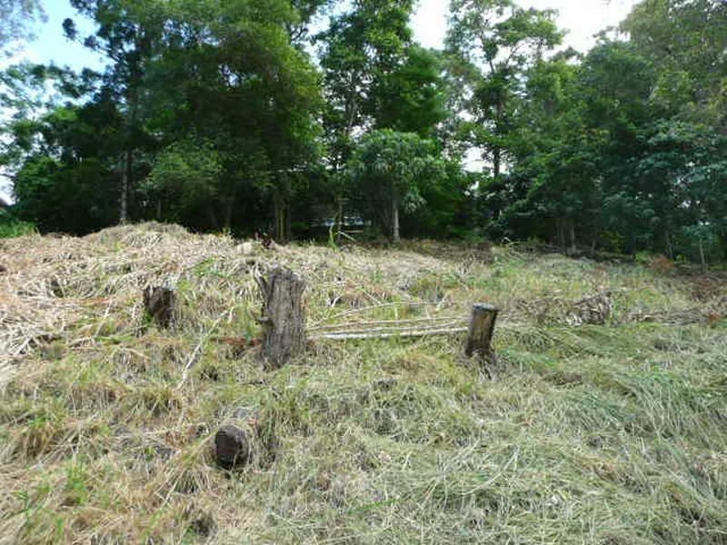 18 Tommys Ct, Buderim QLD 4556