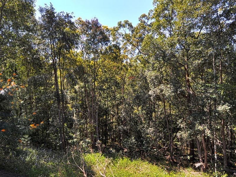 138 Mons School Rd, Buderim QLD 4556