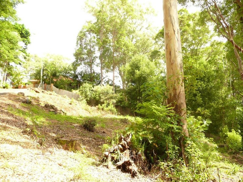 53B Tulip Lane, Buderim QLD 4556