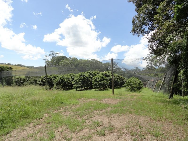 53 Atkinsons Rd, Woombye QLD 4559