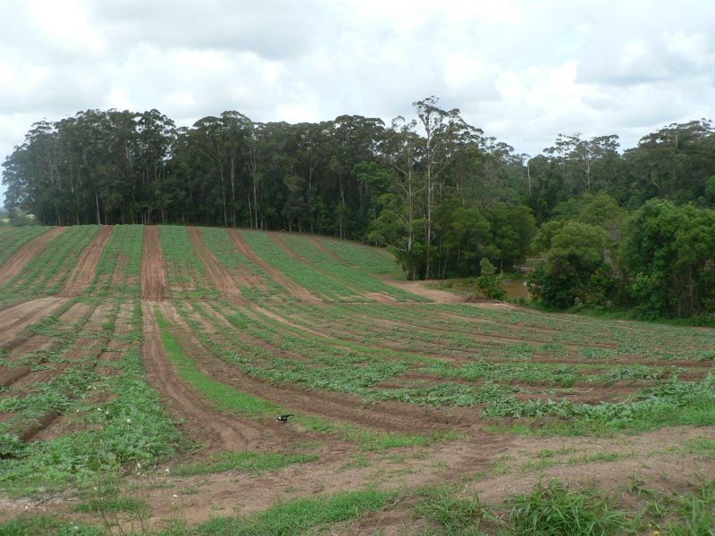 53 Atkinsons Rd, Woombye QLD 4559