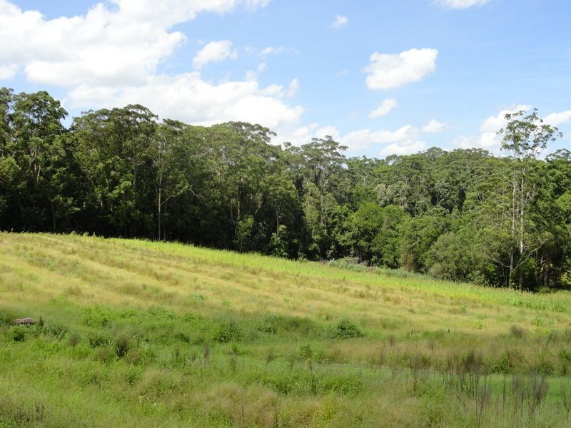 53 Atkinsons Rd, Woombye QLD 4559