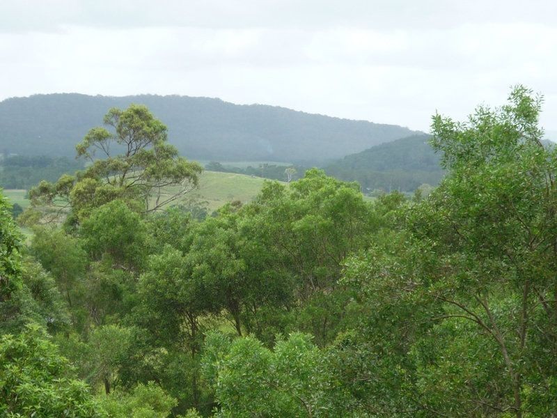 53 Wombat Pl, Ninderry QLD 4561