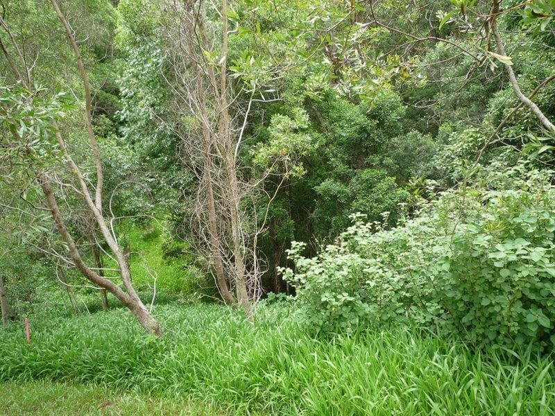 53 Wombat Pl, Ninderry QLD 4561