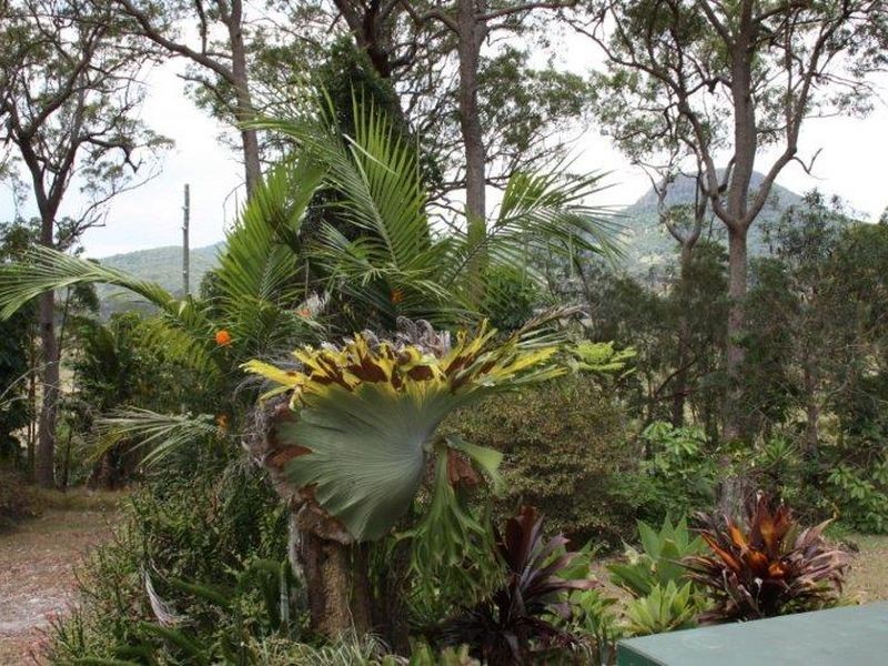 250 Yandina-Bli Bli Rd, Maroochy River QLD 4561