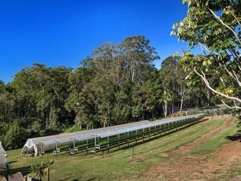 1114 Eumundi Noosa Rd, Verrierdale QLD 4562