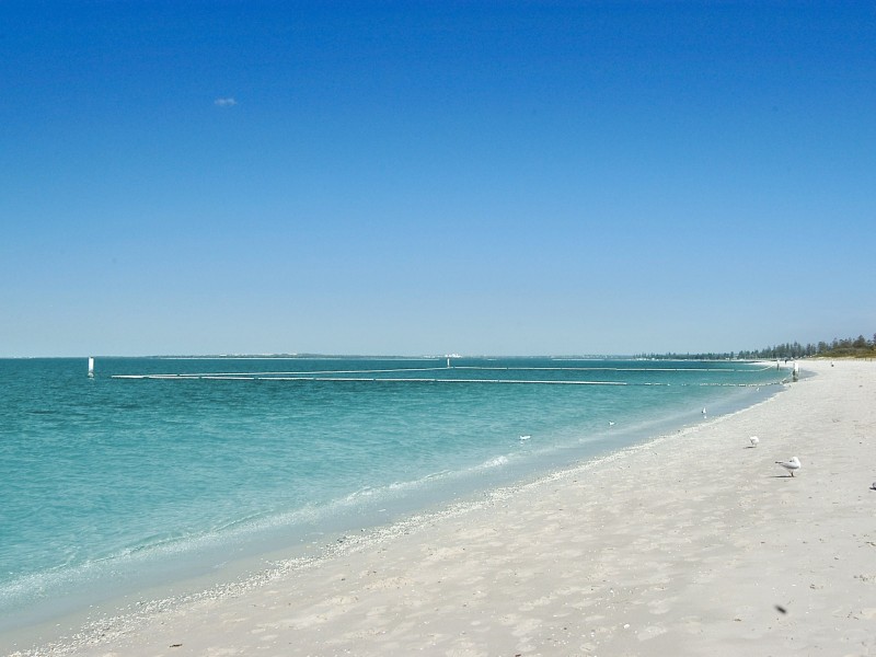 5/113 The Grand Parade, Brighton-le-sands NSW 2216