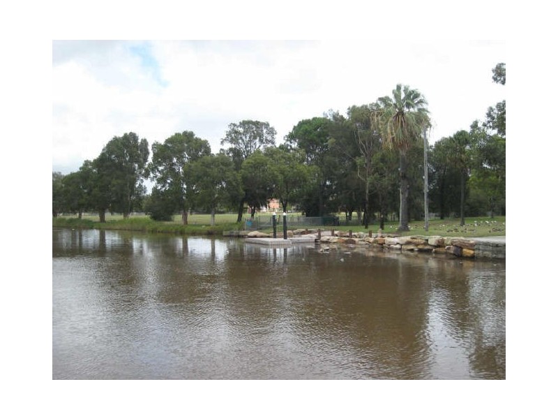 52 AUSTRAL STREET, Kogarah NSW 2217