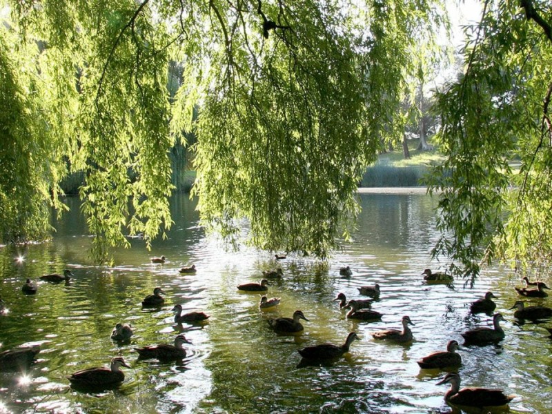 19 King Street, Randwick NSW 2031