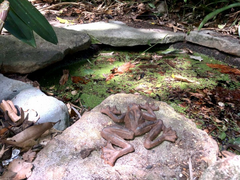 14 Carinya Avenue, Brighton-le-sands NSW 2216