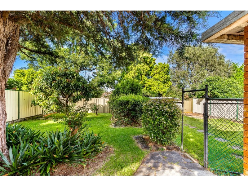 89 Millett Street, Hurstville NSW 2220