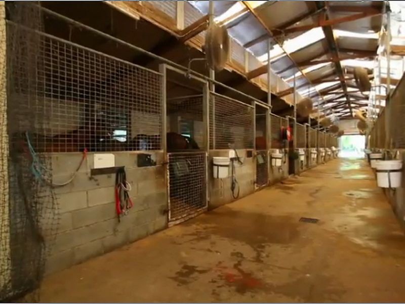 7 WATERFORD COURT, Bundall QLD 4217