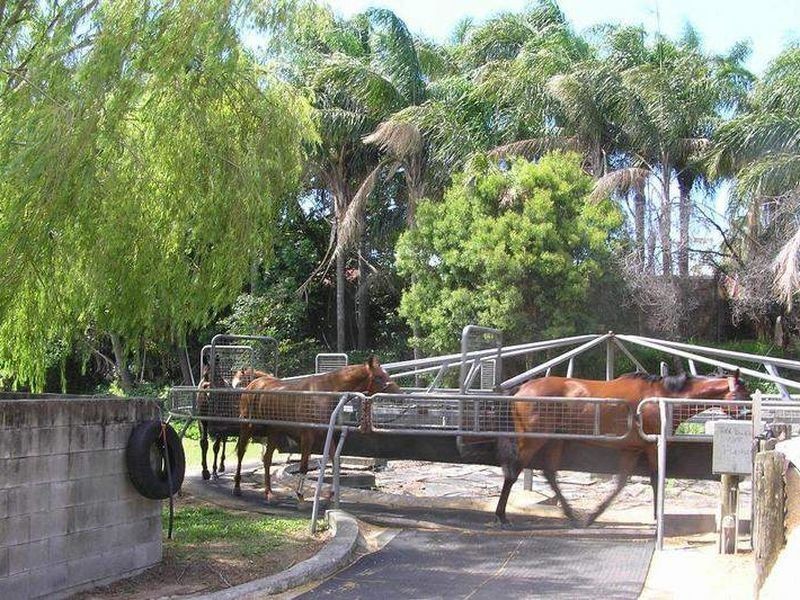 7 WATERFORD COURT, Bundall QLD 4217