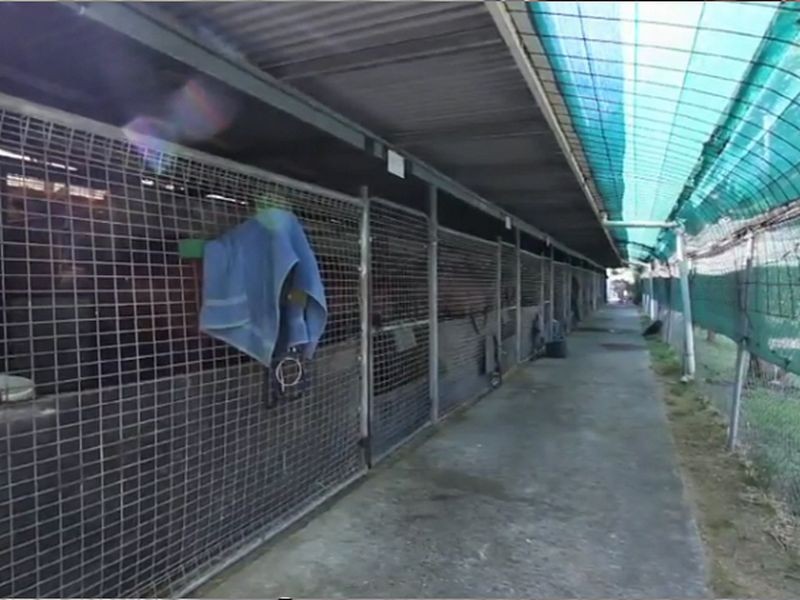 7 WATERFORD COURT, Bundall QLD 4217