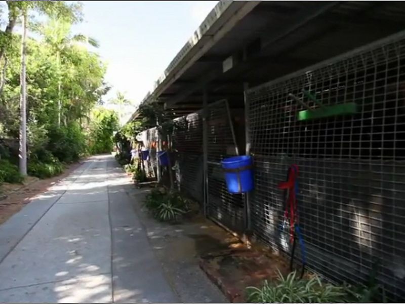 7 WATERFORD COURT, Bundall QLD 4217