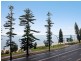 6/55 THE GRAND PARADE, Brighton-le-sands NSW 2216