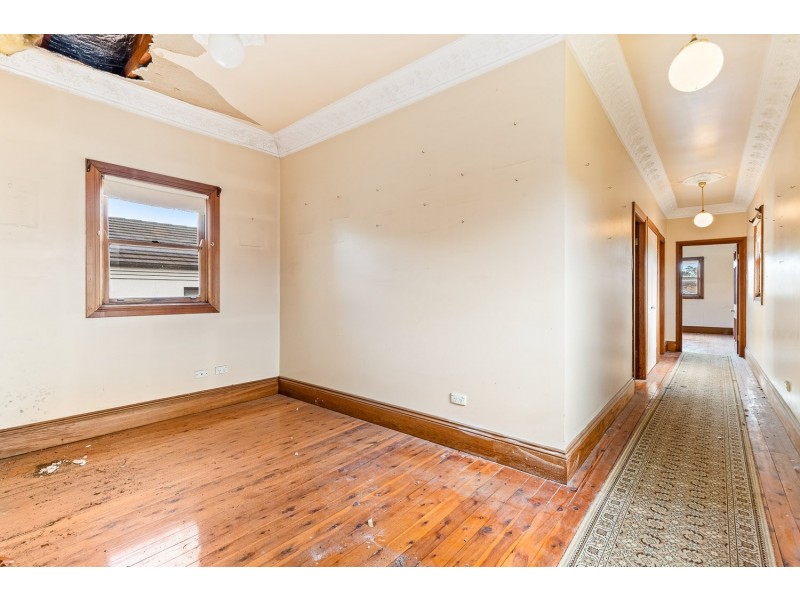 50 Connemarra Street, Bexley NSW 2207