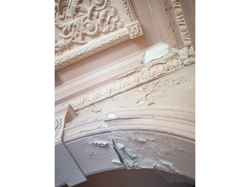 50 Connemarra Street, Bexley NSW 2207