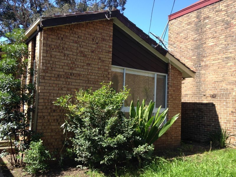 11 Alfred Street, St Peters NSW 2044