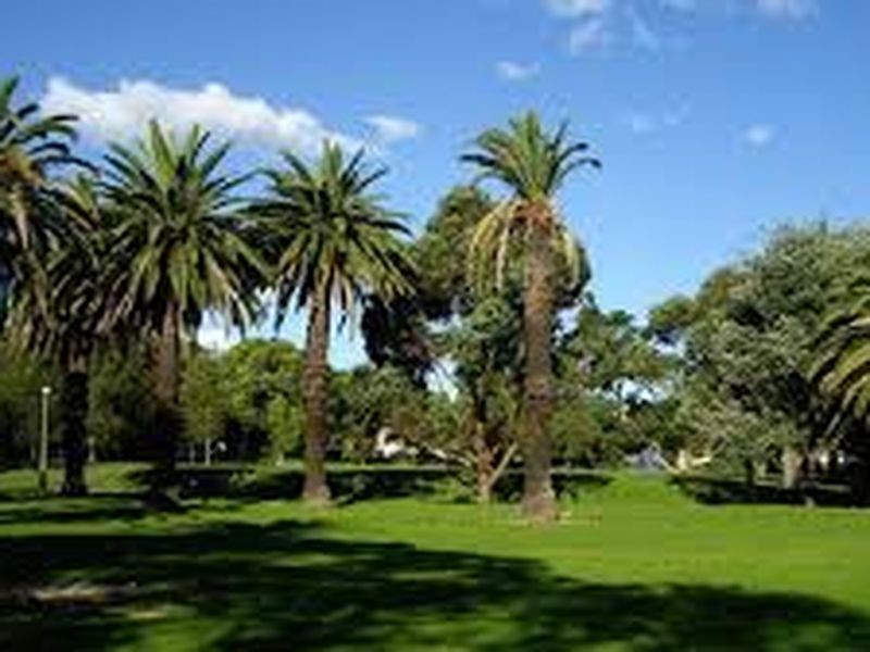 92 Stoney Creek Road, Bexley NSW 2207