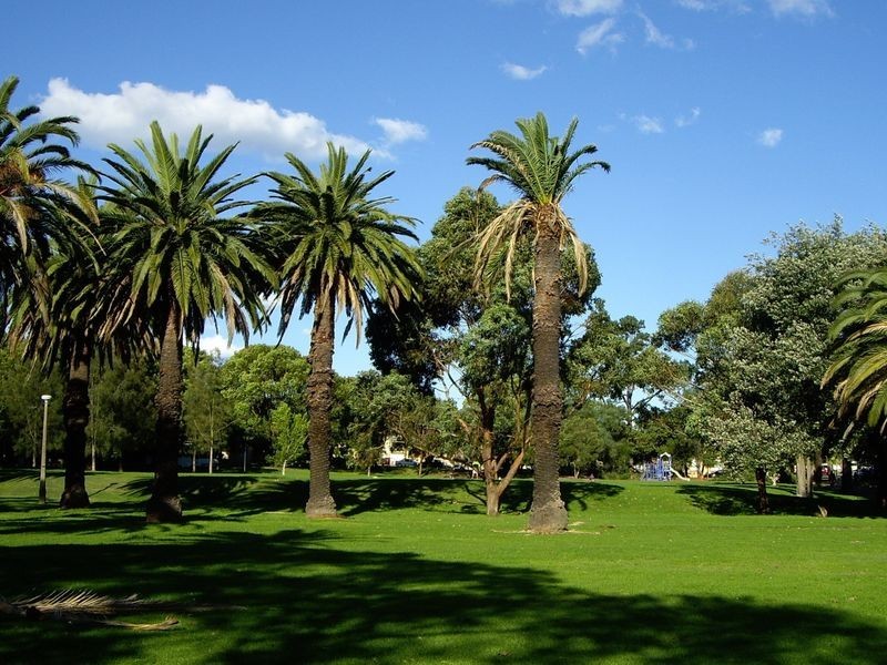 92 Stoney Creek Road, Bexley NSW 2207