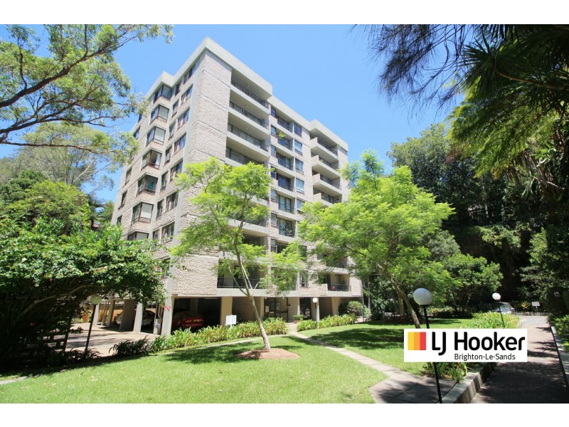 8 Hampden Street, Paddington NSW 2021