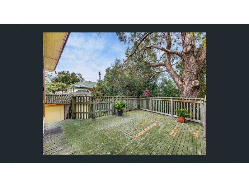 24 Hamel Street, Box Hill South VIC 3128