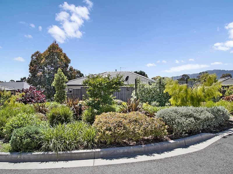 51 Tanika Circuit, Croydon VIC 3136