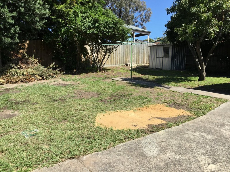 15 Singleton Drive, Endeavour Hills VIC 3802