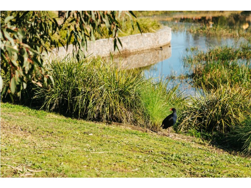 4 Guthrie Place (Lot 64), Bundoora VIC 3083