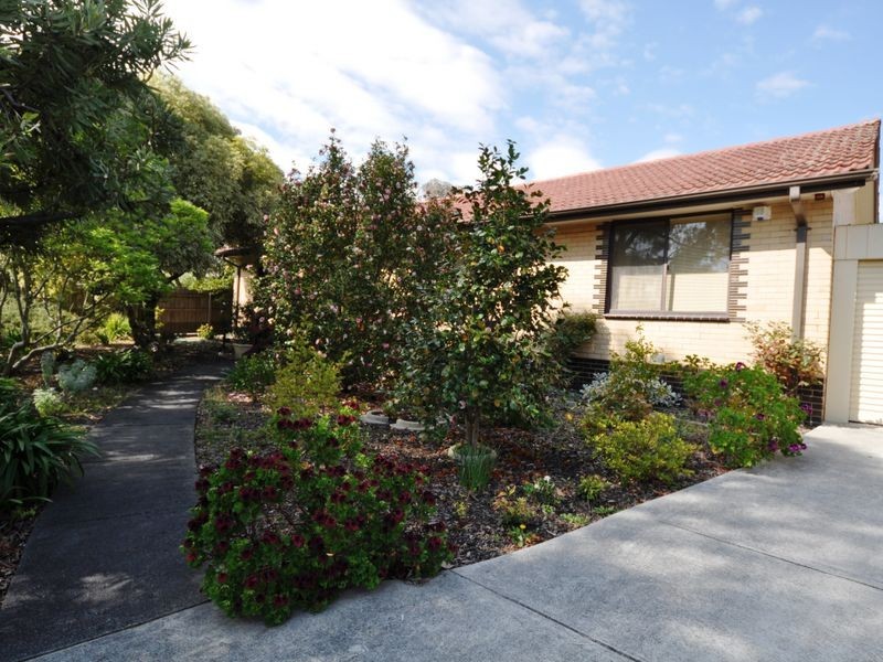 12 Central Avenue, Bayswater North VIC 3153