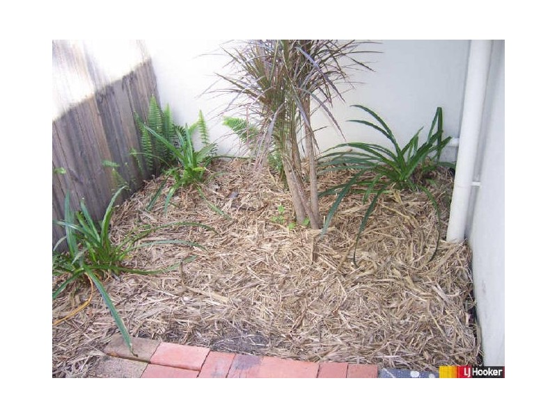 11/8 Admiral Drive, Dolphin Heads QLD 4740