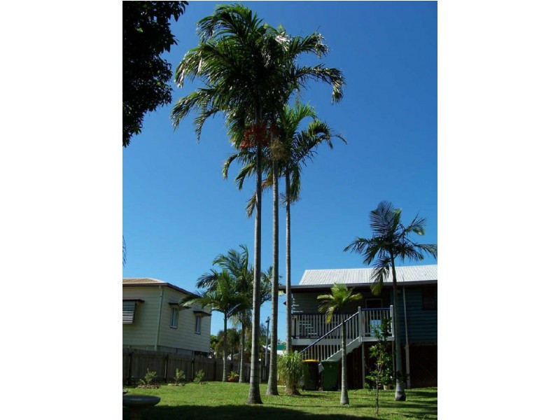 14 McIntyre Street, East Mackay QLD 4740