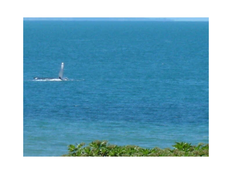 9 Rassmussen Street, Hay Point QLD 4740