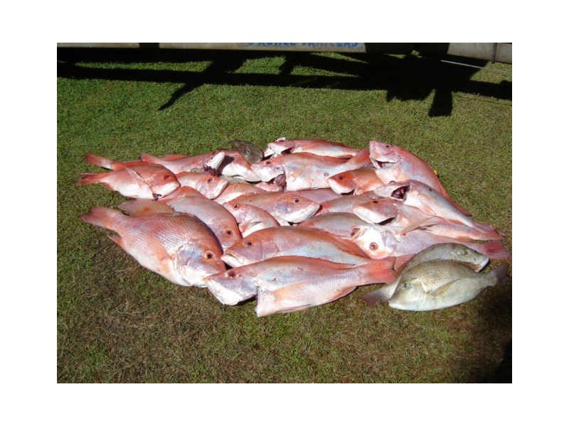 9 Rassmussen Street, Hay Point QLD 4740