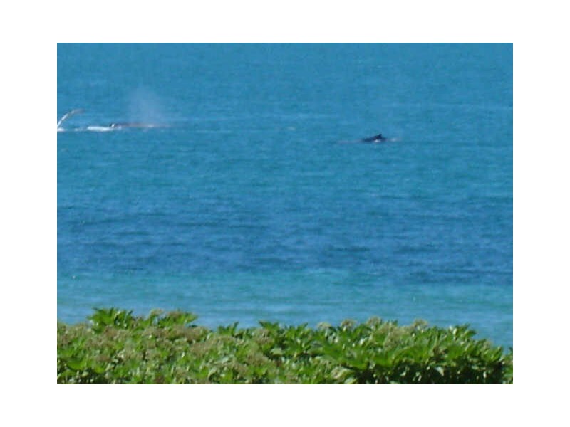 9 Rassmussen Street, Hay Point QLD 4740