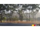 5 Carmila Road West, Carmila QLD 4739