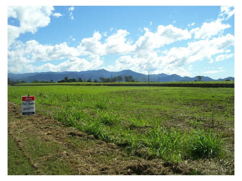 11, 12, 13 Eungella Road, Pinnacle QLD 4741