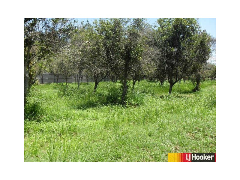 14 Shamrock Road, Balberra, Mackay QLD 4740