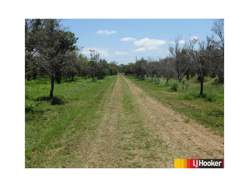 14 Shamrock Road, Balberra, Mackay QLD 4740